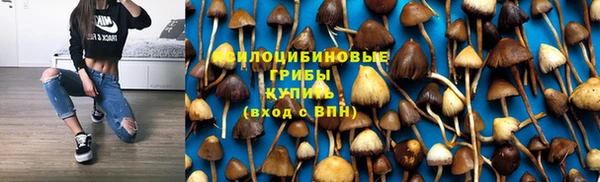 МДМА Арсеньев