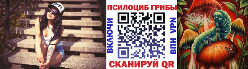 Галлюциногенные грибы GOLDEN TEACHER  Светлогорск 